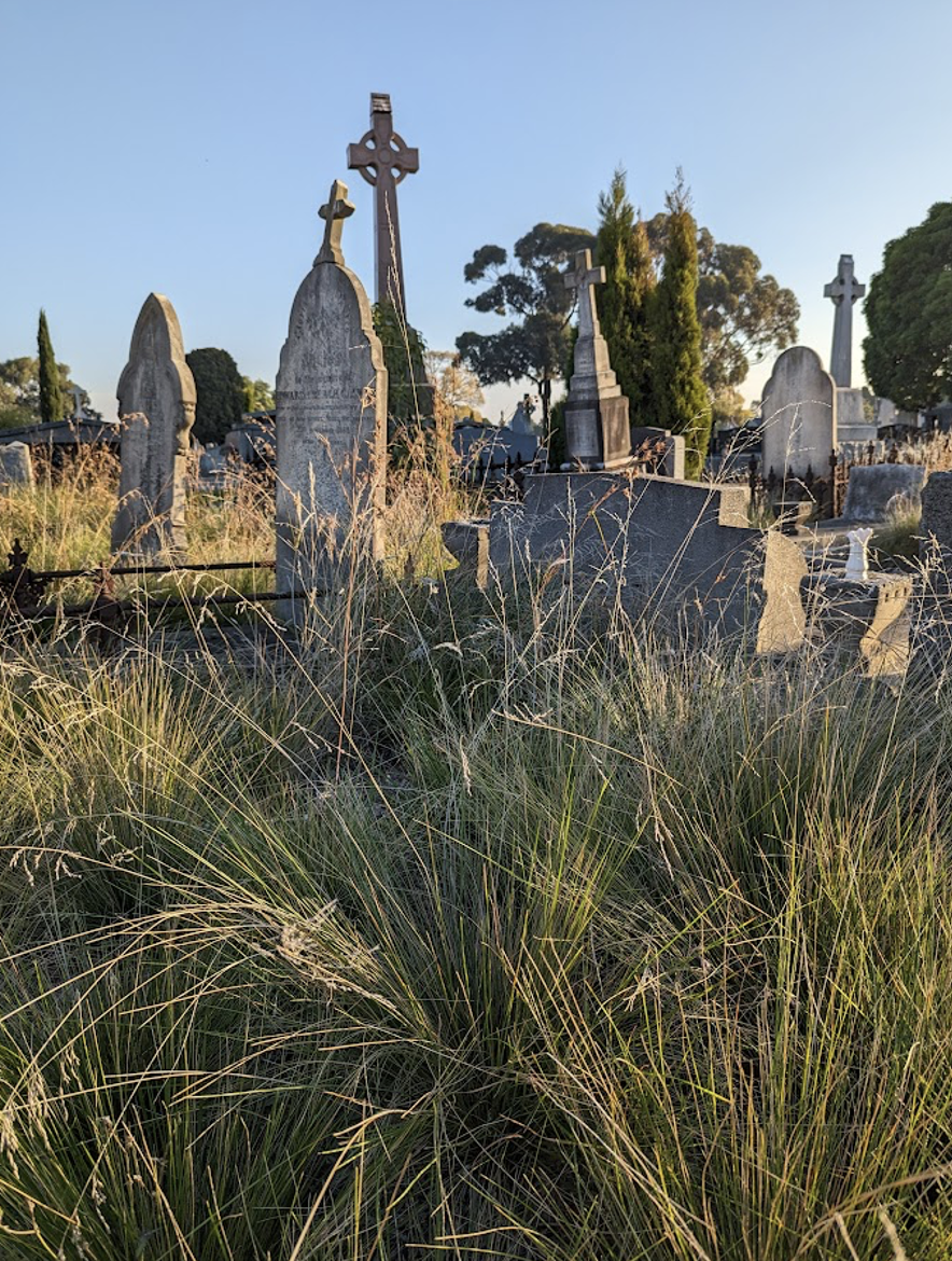 image of Melbourne General Cemetery 