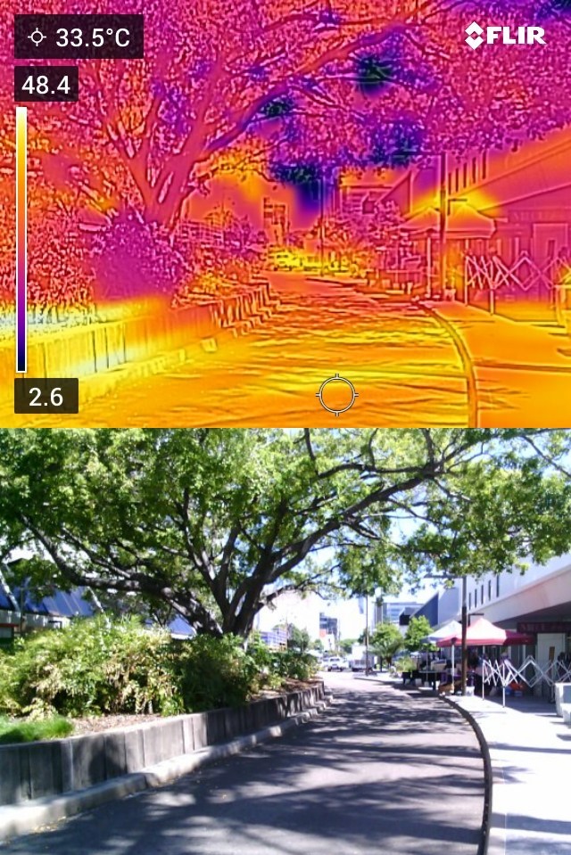 Urban form, materials, vegetation and the resulting urban microclimates 